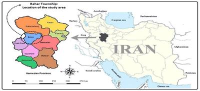 Impacts of COVID-19 Pandemic on Micro and Small Enterprises: Evidence From Rural Areas of Iran